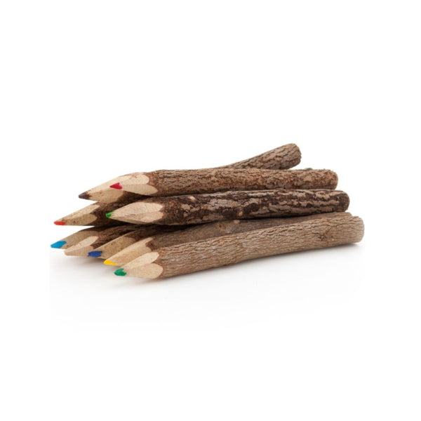 CEuk Twig Pencils and Explorer Roll Up Case