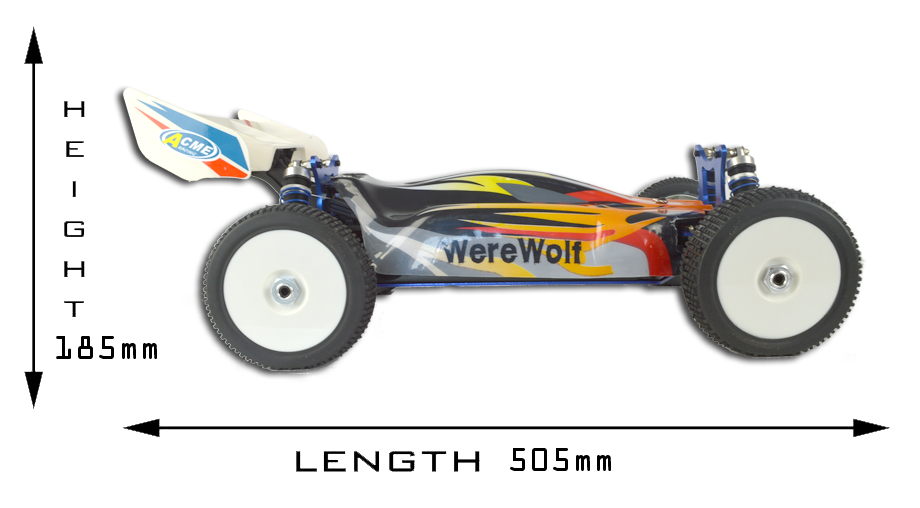 Acme Racing Werewolf 1:8 Brushless Electric RC Buggy - Standard Version